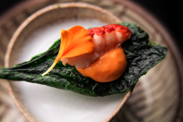 Leo-LATAM-2018-DISH1